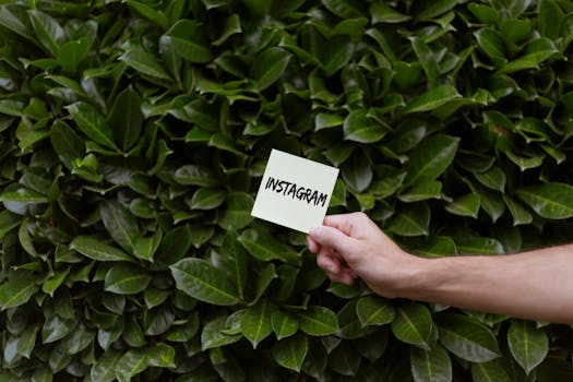 A hand holding a note with 'Instagram' against a lush green background of leaves.