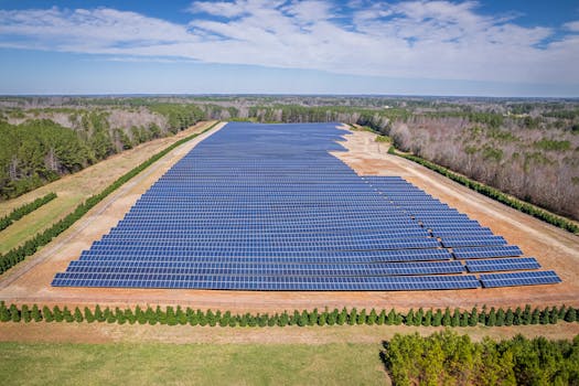 Extensive solar farm surrounded by forests in White Level, NC, showcasing renewable energy.